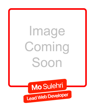 Mo_Sulehri_Lead_Web_Developer
